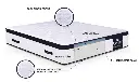 king-line (2).webp