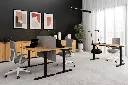 pol_pl_Biurko-FLEXI-140-cm-regulowane-podnoszone-elektryczne-komputerowe-Dab-Craft-Czarny-14709_3 (1).webp
