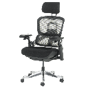 Ергономичен стол DOLE-2