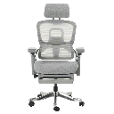 Ергономичен стол DOLE W-2