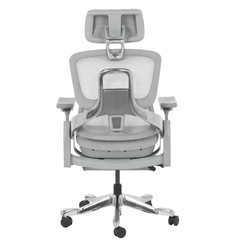 Ергономичен стол DOLE W-6