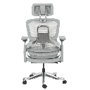 Ергономичен стол DOLE W-6