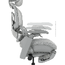 Ергономичен стол DOLE W-9