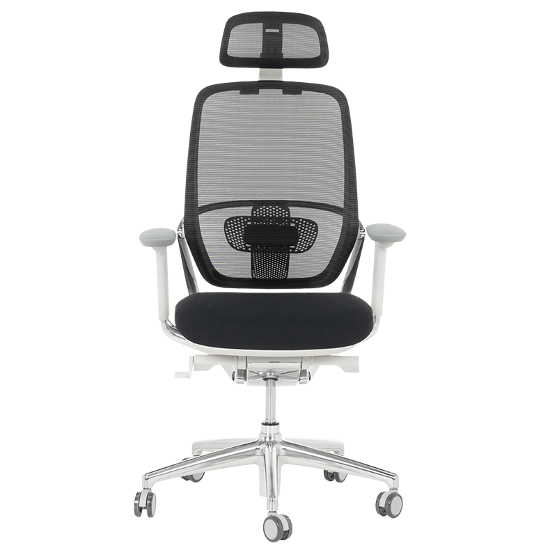 Ергономичен стол VAUD W-1