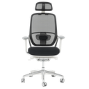 Ергономичен стол VAUD W-1