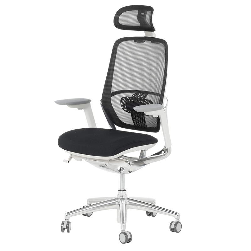 Ергономичен стол VAUD W-2