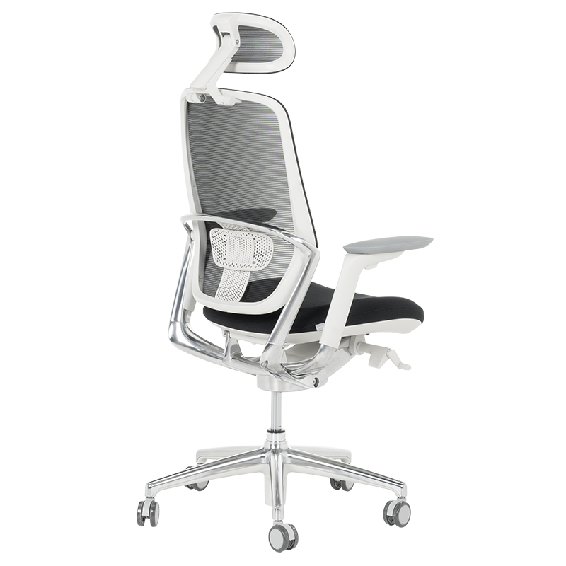 Ергономичен стол VAUD W-4