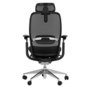 Ергономичен стол ONEX-5