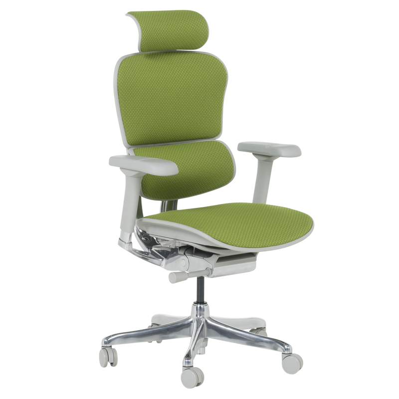 Ергономичен стол ERGOHUMAN ELITE 2 - сива рамка
