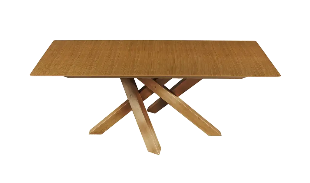 Холна маса X 120