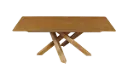 Холна маса X 120